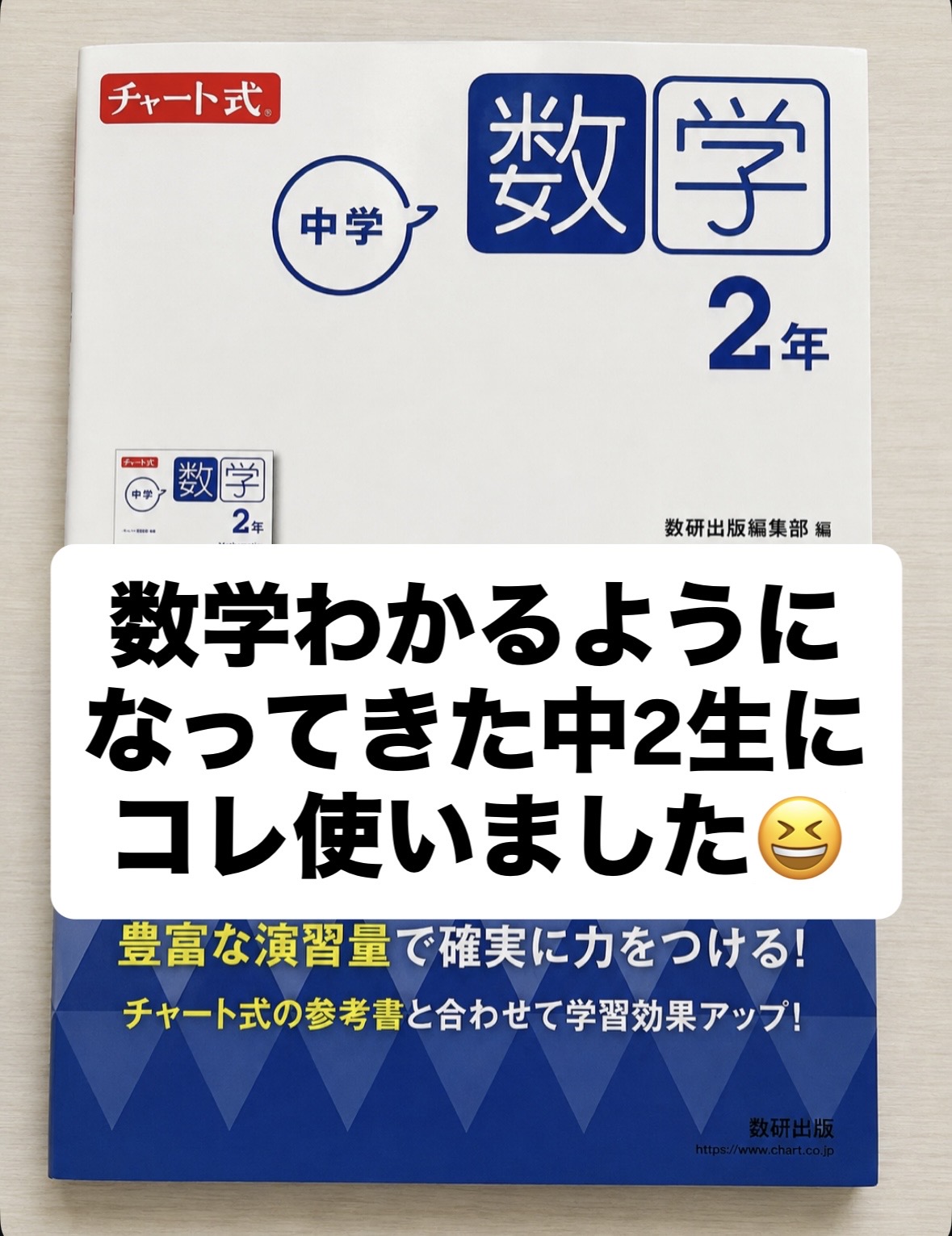 《一次関数》を、自分のものにしよう! Screenshot